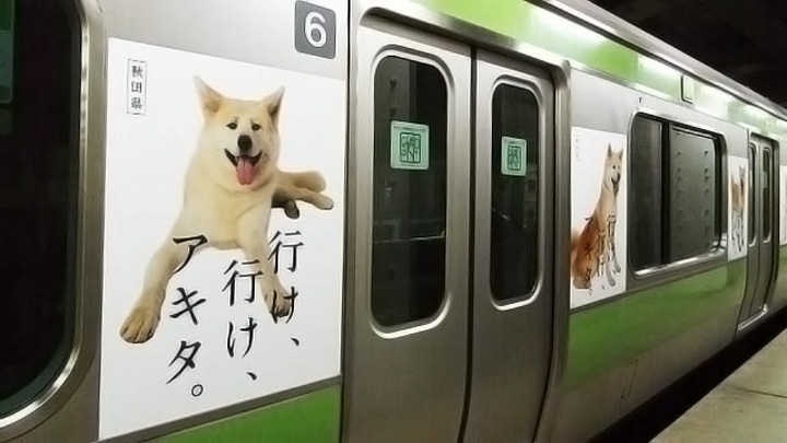 第11回東京屋外広告コンクール 第4部門 東京屋外広告協会 会長賞 受賞 車体広告