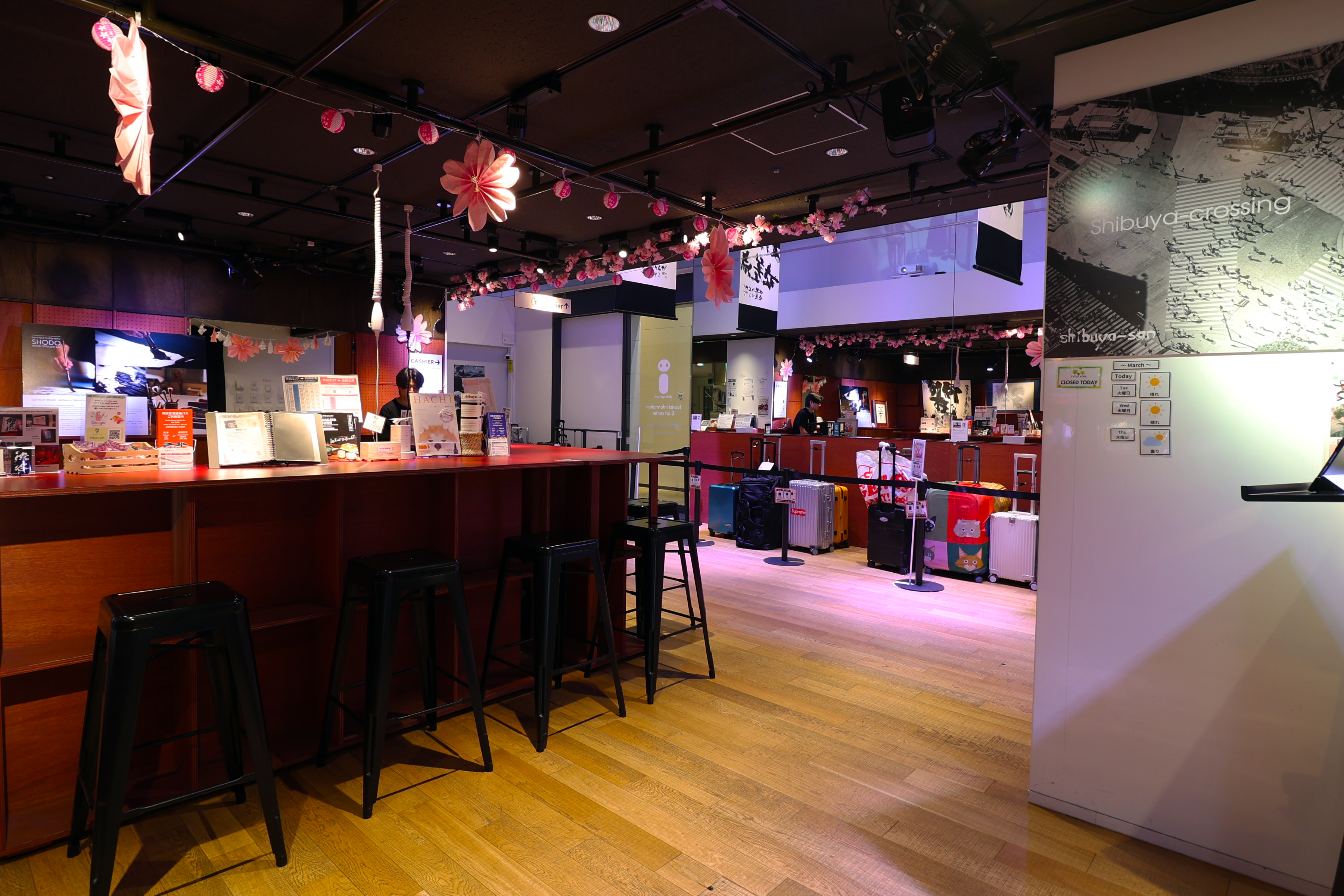 jcdnow_shibuya-san_image-photo2_IMG_2106a.jpg
