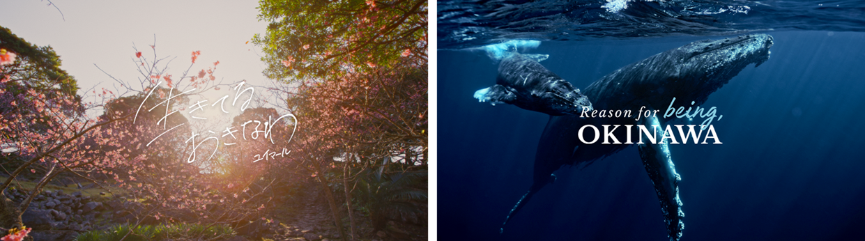 news-release-260217-beokinawa-top.png